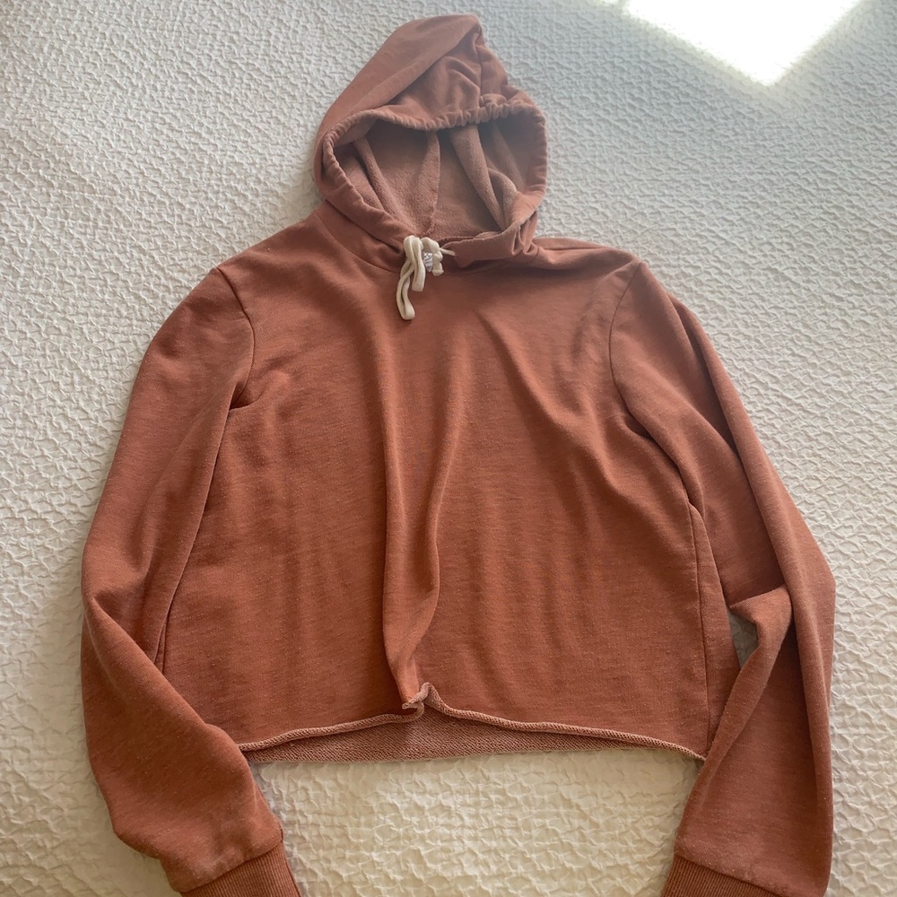 Burnt orange cropped hoodie